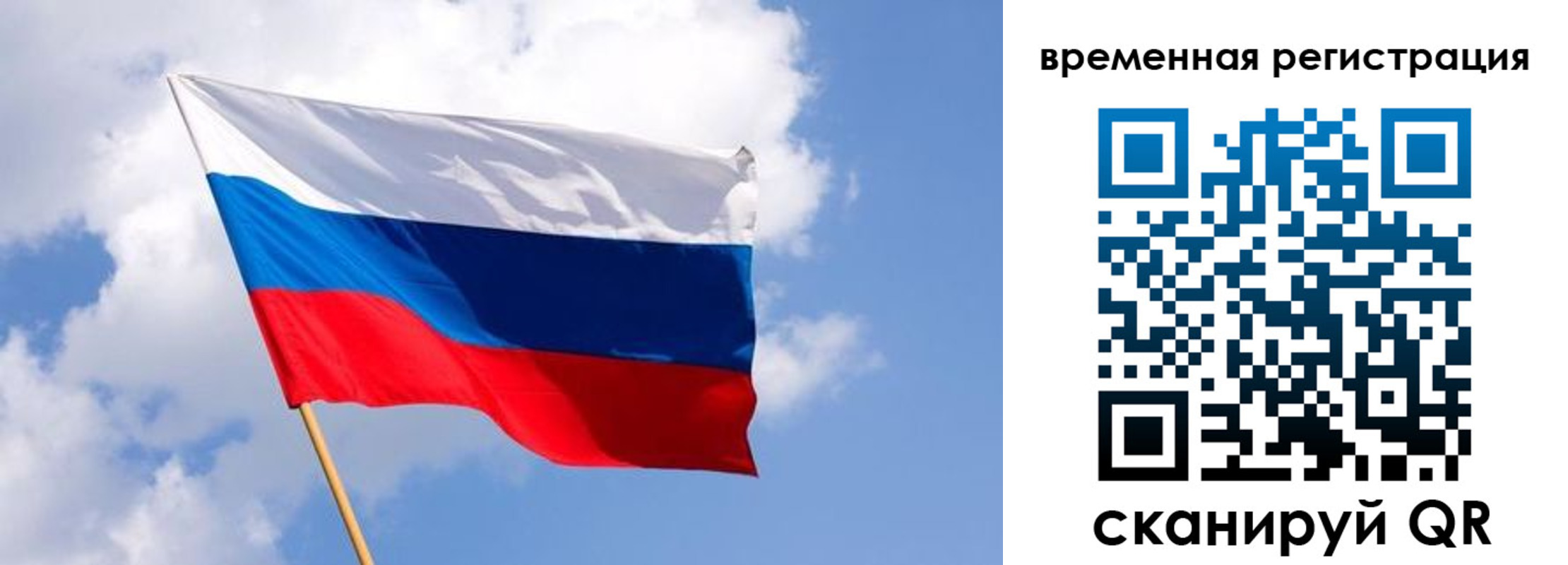 прописка для школы в Камышине